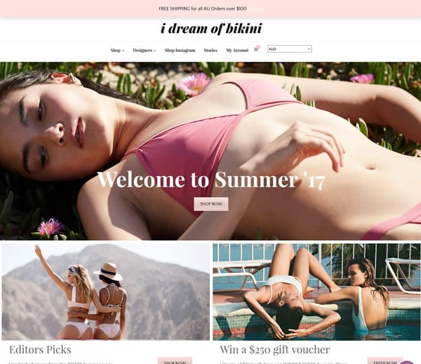 I Dream of Bikini WordPress Theme Customisation